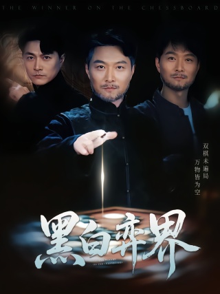 短剧黑白弈界海报