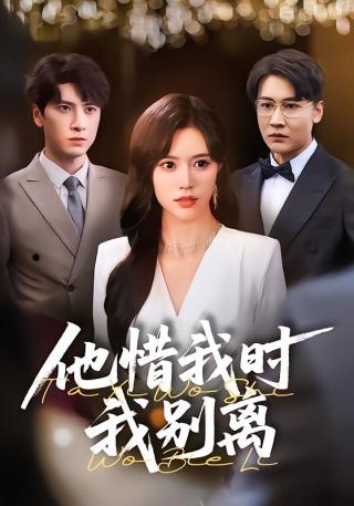 短剧他惜我时我别离海报