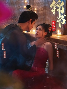 短剧锦书谋权录海报