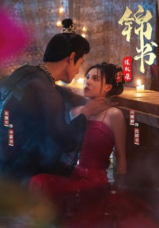 短剧锦书谋权录海报