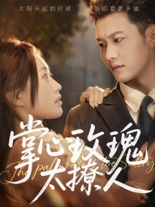 短剧掌心玫瑰太撩人海报