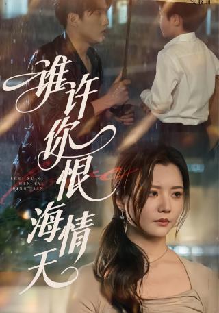 短剧谁许你恨海情天海报