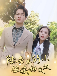 短剧陆先生的小祖宗甜又飒海报