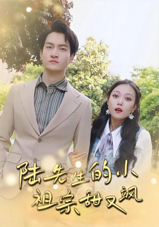 短剧陆先生的小祖宗甜又飒海报