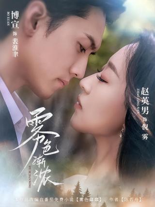 短剧雾色渐浓海报