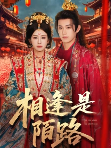 短剧相逢是陌路海报