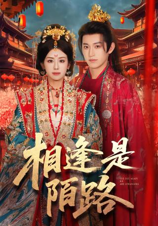 短剧相逢是陌路海报