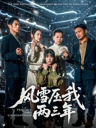 短剧风雪压我两三年海报