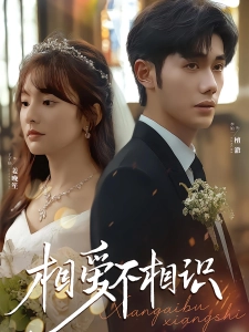 短剧相爱不相识海报