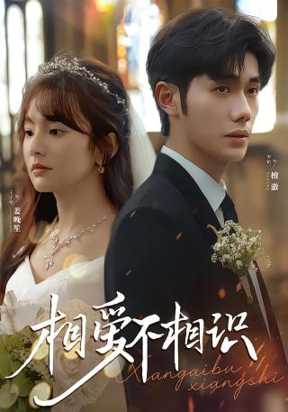 短剧相爱不相识海报