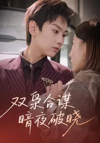 短剧双枭合谋暗夜破晓海报