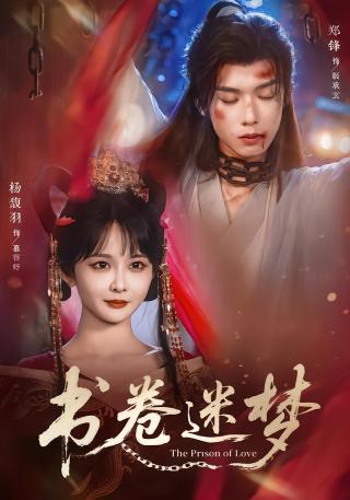 短剧书卷迷梦海报