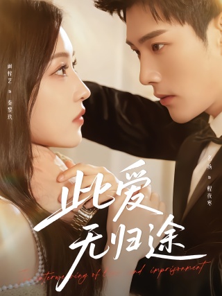 短剧此爱无归途海报