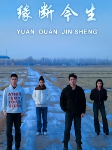 短剧缘断今生海报