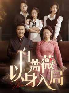 短剧白蔷薇以身入局海报