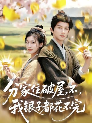 短剧分家住破屋，不，我银子都花不完海报