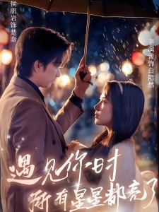 短剧遇见你时所有星星都亮了海报