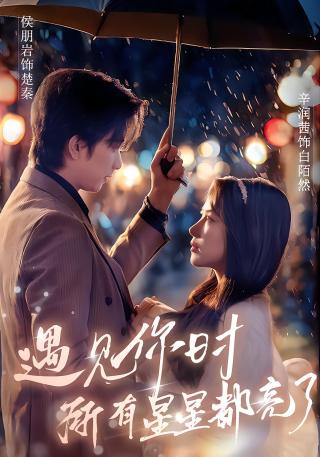 短剧遇见你时所有星星都亮了海报
