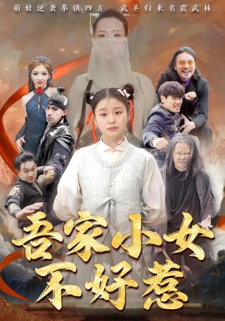 短剧吾家小女不好惹海报