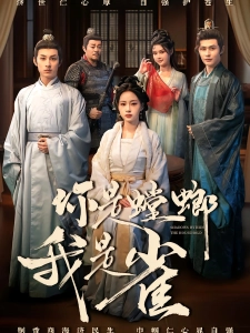 短剧你是螳螂我是雀海报