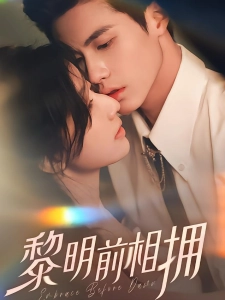 短剧黎明前相拥海报