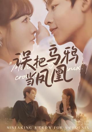 短剧误把乌鸦当凤凰海报