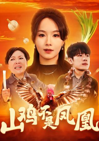 短剧山鸡不是凤凰海报