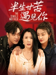 短剧半生甘苦遇见你海报