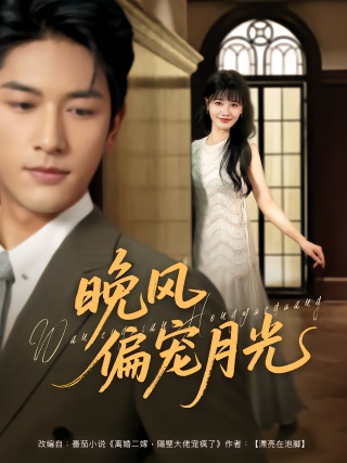 短剧晚风偏宠月光海报