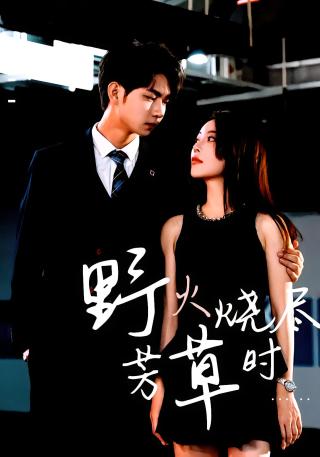 短剧野火烧尽芳草时海报
