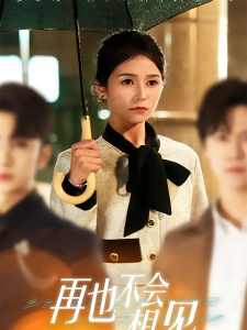 短剧再也不会相见海报