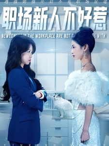 短剧职场新人不好惹海报