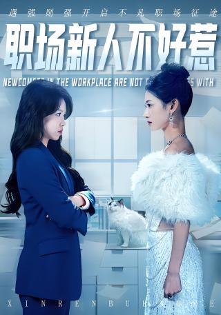 短剧职场新人不好惹海报