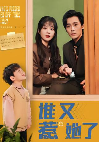 短剧谁又惹她了海报