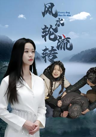 短剧风水轮流转海报