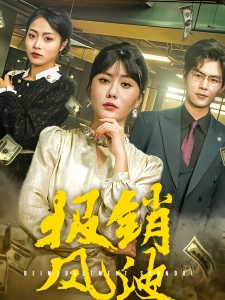 短剧报销风波海报