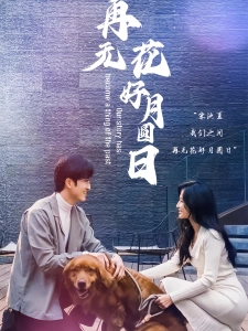 短剧再无花好月圆日海报