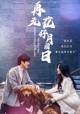 短剧再无花好月圆日海报