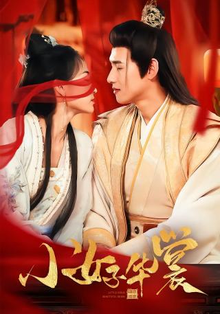 短剧小女子华裳海报