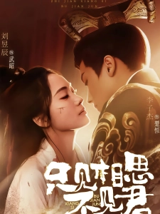 短剧只见相思不见君海报