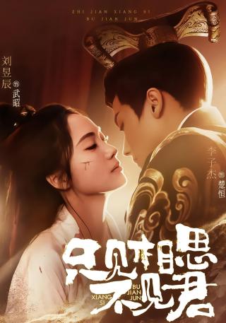 短剧只见相思不见君海报