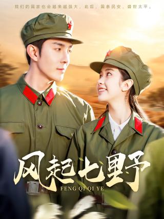 短剧风起七野海报