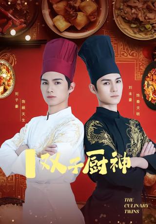 短剧双子厨神海报