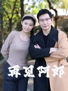 短剧再见阿郎海报