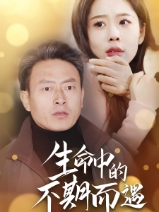 短剧生命中的不期而遇海报