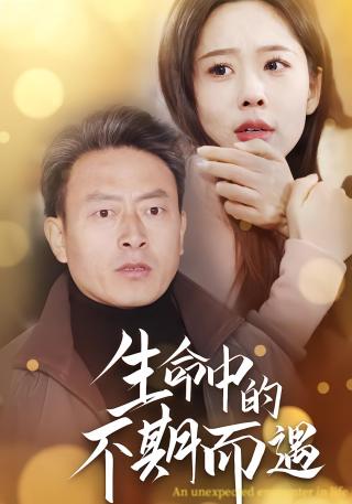 短剧生命中的不期而遇海报