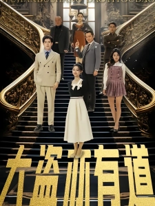 短剧大盗亦有道海报