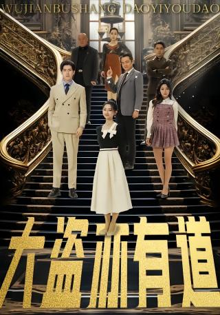 短剧大盗亦有道海报