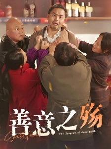 短剧善意之殇海报