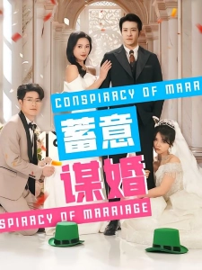 短剧蓄意谋婚海报